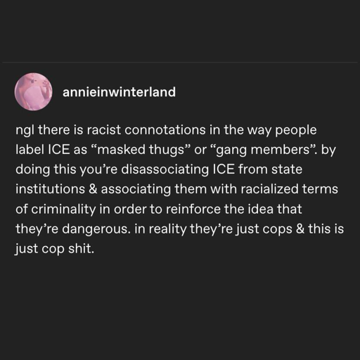 ngl there is racist connotations in the way people label ICE as "masked thugs" or "gang members". by doing this you're disassociating ICE from state institutions & associating them with racialized terms of criminality in order to reinforce the idea that they're dangerous. In reality they're just cops & this is just cop shit.