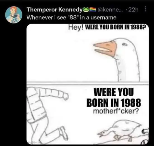 The image is a meme featuring a tweet and a comic strip.   1. Tweet: The user "Themperor Kennedy" comments, "Whenever I see '88' in a username," followed by emojis. This sets up the context for the joke.  2. Comic Strip:    - Top Panel: A drawing of a goose asking, "Hey! WERE YOU BORN IN 1988?"    - Bottom Panel: The goose, now aggressive, chases a person, demanding, "WERE YOU BORN IN 1988 motherf*cker?” 